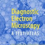 خرید و دانلود نسخه کامل کتاب Diagnostic Electron Microscopy: A Text Atlas (2nd Ed.)