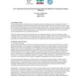 خرید و دانلود نسخه کامل کتاب Dominant Practice Of Central European Electrical Utilities For Transmission System Protection