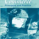 خرید و دانلود نسخه کامل کتاب Electronic Commerce: Principles and Practice