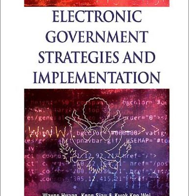خرید و دانلود نسخه کامل کتاب Electronic Government Strategies and Implementation