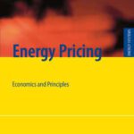 خرید و دانلود نسخه کامل کتاب Energy Pricing: Economics and Principles