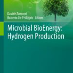 خرید و دانلود نسخه کامل کتاب Microbial BioEnergy: Hydrogen Production