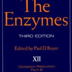 خرید و دانلود نسخه کامل کتاب Oxidation-Reduction, Part B (Electron Transfer (II), Oxygenases, Oxidases (I)), 3rd Edition