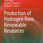 خرید و دانلود نسخه کامل کتاب Production of hydrogen from renewable resources.