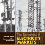 خرید و دانلود نسخه کامل کتاب The Economics of Electricity Markets