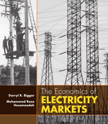 خرید و دانلود نسخه کامل کتاب The Economics of Electricity Markets