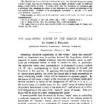 خرید و دانلود نسخه کامل کتاب The Electronic States of the Helium Molecule