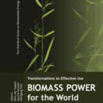 خرید و دانلود نسخه کامل کتاب Transformations to effective use : biomass power for the world