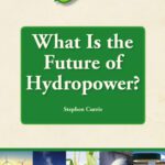 خرید و دانلود نسخه کامل کتاب What is the Future of Hydropower?