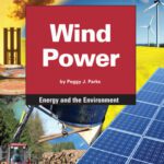 خرید و دانلود نسخه کامل کتاب Wind Power