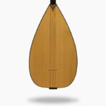 خرید و دانلود دوره آموزش ویدیویی دیوان (باغلاما)