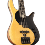 خرید و دانلود دوره آموزش ویدیویی گیتار بیس