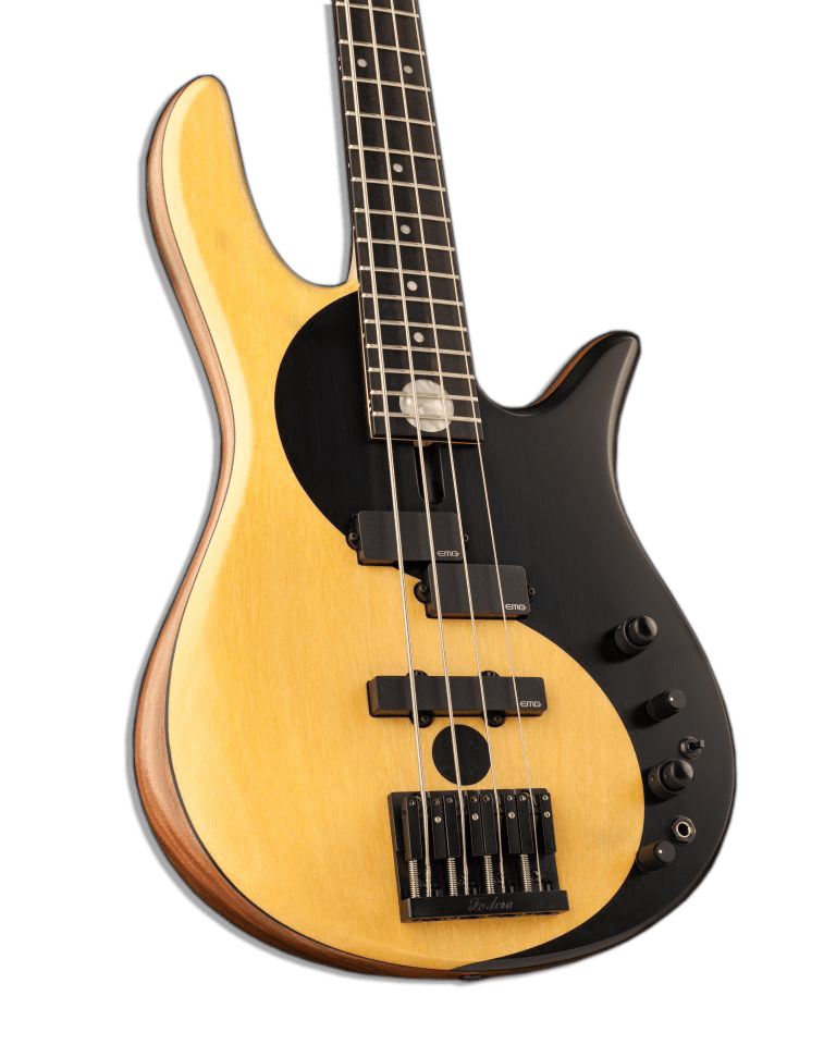 مجموعه-کتاب-های-آموزش-گیتار-بیس-گیتار-باس خرید و دانلود دوره آموزش ویدیویی گیتار بیس - تصویر 1