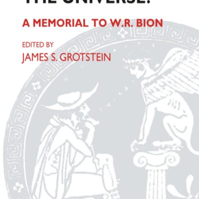 دانلود کتاب Do I Dare Disturb the Universe?