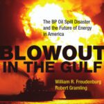 خرید و دانلود نسخه کامل کتاب Blowout in the Gulf: The BP Oil Spill Disaster and the Future of Energy in America