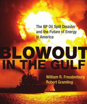 خرید و دانلود نسخه کامل کتاب Blowout in the Gulf: The BP Oil Spill Disaster and the Future of Energy in America