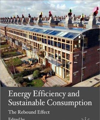 خرید و دانلود نسخه کامل کتاب Energy Efficiency and Sustainable Consumption: The Rebound Effect (Energy, Climate and the Environment)