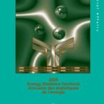 خرید و دانلود نسخه کامل کتاب Energy Statistics Yearbook 2005 (English and French)