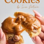 خرید و دانلود نسخه کامل کتاب Fine Cookies by Inesa Poltseva