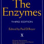خرید و دانلود نسخه کامل کتاب Protein Synthesis DNA Synthesis and Repair RNA Synthesis Energy-Linked ATPases Synthetases
