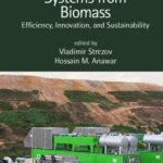خرید و دانلود نسخه کامل کتاب Renewable Energy Systems from Biomass: Efficiency, Innovation, and Sustainability