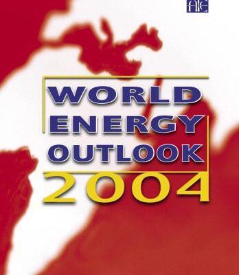 خرید و دانلود نسخه کامل کتاب World Energy Outlook 2004 (World Energy Outlook)