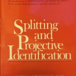 دانلود کتاب Splitting and projective identification