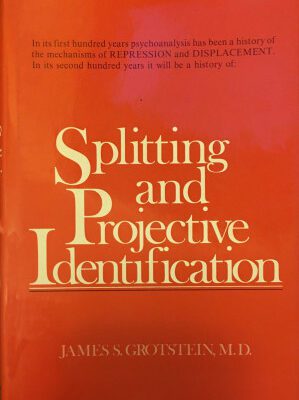 دانلود کتاب Splitting and projective identification