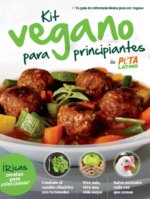 خرید و دانلود نسخه کامل 21 مجله زندگی وگان Vegan Life - تصویر 4