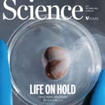 خرید و دانلود نسخه کامل 17 مجله علمی ساینس Science Magazine Part 2