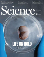 خرید و دانلود نسخه کامل 17 مجله علمی ساینس Science Magazine Part 2