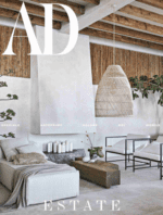 خرید و دانلود نسخه کامل مجموعه شماره 3 : 2020 الی 2022 | 20 مجله معماری Architectural Digest Part 3 - تصویر 5