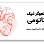 خرید و دانلود نسخه کامل قالب اینفوگرافیک آناتومی بدن | ۳۱ اسلاید برای آموزش و ارائه حرفه‌ای