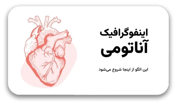 Anatomy-1-600x357 خرید و دانلود نسخه کامل قالب اینفوگرافیک آناتومی بدن | ۳۱ اسلاید برای آموزش و ارائه حرفهای - تصویر 1