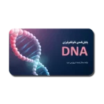 خرید و دانلود نسخه کامل قالب پاورپوینت ژنتیک، DNA و نانوتکنولوژی | ارائه‌ای علمی با تمرکز بر DNA