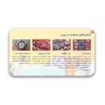 خرید و دانلود نسخه کامل قالب پاورپوینت داروسازی و نقش داروها در سلامت – طراحی حرفه ای و ویژه برای ارائه‌های دارویی و پزشکی