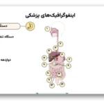 خرید و دانلود نسخه کامل قالب پاورپوینت اینفوگرافیک پزشکی | نمودار بدن انسان برای ارائه‌های تخصصی