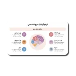 خرید و دانلود نسخه کامل قالب پاورپوینت روانشناسی-اینفوگرافیک با طراحی نوآورانه و کمتر دیده‌شده برای ارائه‌های حرفه‌ای
