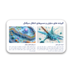 خرید و دانلود نسخه کامل قالب پاورپوینت سایکوفارماکولوژی (2) – طراحی علمی و مینیمال