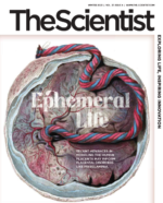 خرید و دانلود نسخه کامل 28 مجله علم و فناوری New Scientist - تصویر 4