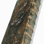 خرید و دانلود نسخه کامل کتاب طلسم گنج پنهان