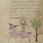 خرید و دانلود نسخه کامل کتاب نکرونومیکون نسخه اصلی فارسی