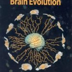 دانلود کتاب Principles of Brain Evolution 1st Edition