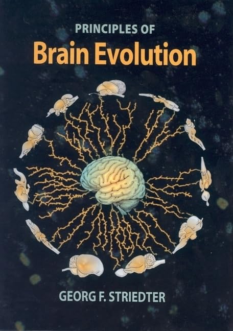 51ySfKaranL دانلود کتاب Principles of Brain Evolution 1st Edition