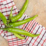 خرید و دانلود ویدیو آموزشی بهترین و ساده‌ترین روش کاشت فلفل در خانه و کسب درآمد | کاشت و پرورش فلفل در منزل | کسب و کار در منزل