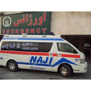 2170790x300 خرید و دانلود نسخه کامل پاورپوینت داروهای آمبولانس ۱۰ اسلاید | کسب و کار | کسب درآمد - تصویر 1