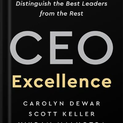 خرید و دانلود نسخه کامل کتاب CEO Excellence: The Six Mindsets That Distinguish the Best Leaders from the Rest by Carolyn Dewar PDF