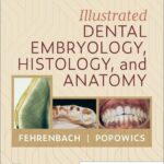 خرید و دانلود نسخه کامل کتاب Illustrated Dental Embryology, Histology, and Anatomy 6th Edition