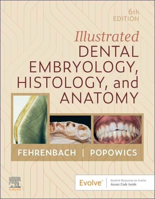 51itIRaUzrL خرید و دانلود نسخه کامل کتاب Illustrated Dental Embryology, Histology, and Anatomy 6th Edition