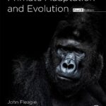 خرید و دانلود نسخه کامل کتاب Primate Adaptation and Evolution 4th Edition